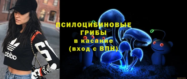 мяу мяу мука Армянск