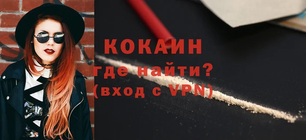 гидра Арсеньев