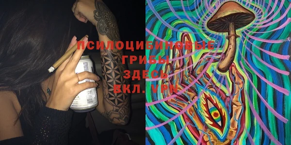 мяу мяу мука Армянск